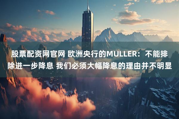 股票配资网官网 欧洲央行的MULLER：不能排除进一步降息 我们必须大幅降息的理由并不明显