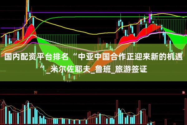 国内配资平台排名 “中亚中国合作正迎来新的机遇”_米尔佐耶夫_鲁班_旅游签证