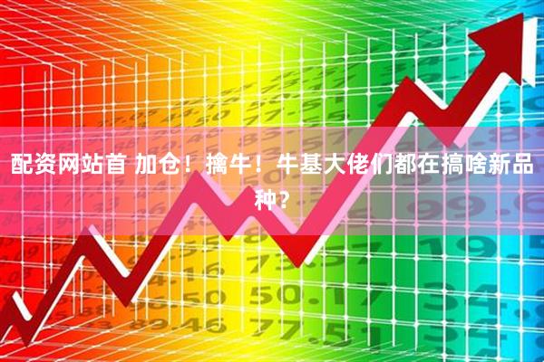 配资网站首 加仓！擒牛！牛基大佬们都在搞啥新品种？