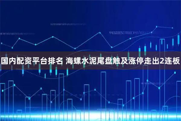 国内配资平台排名 海螺水泥尾盘触及涨停走出2连板